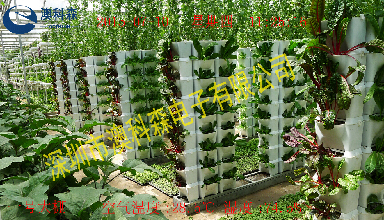 大棚種植園(澳科森).jpg 大棚種植園(澳科森).jpg